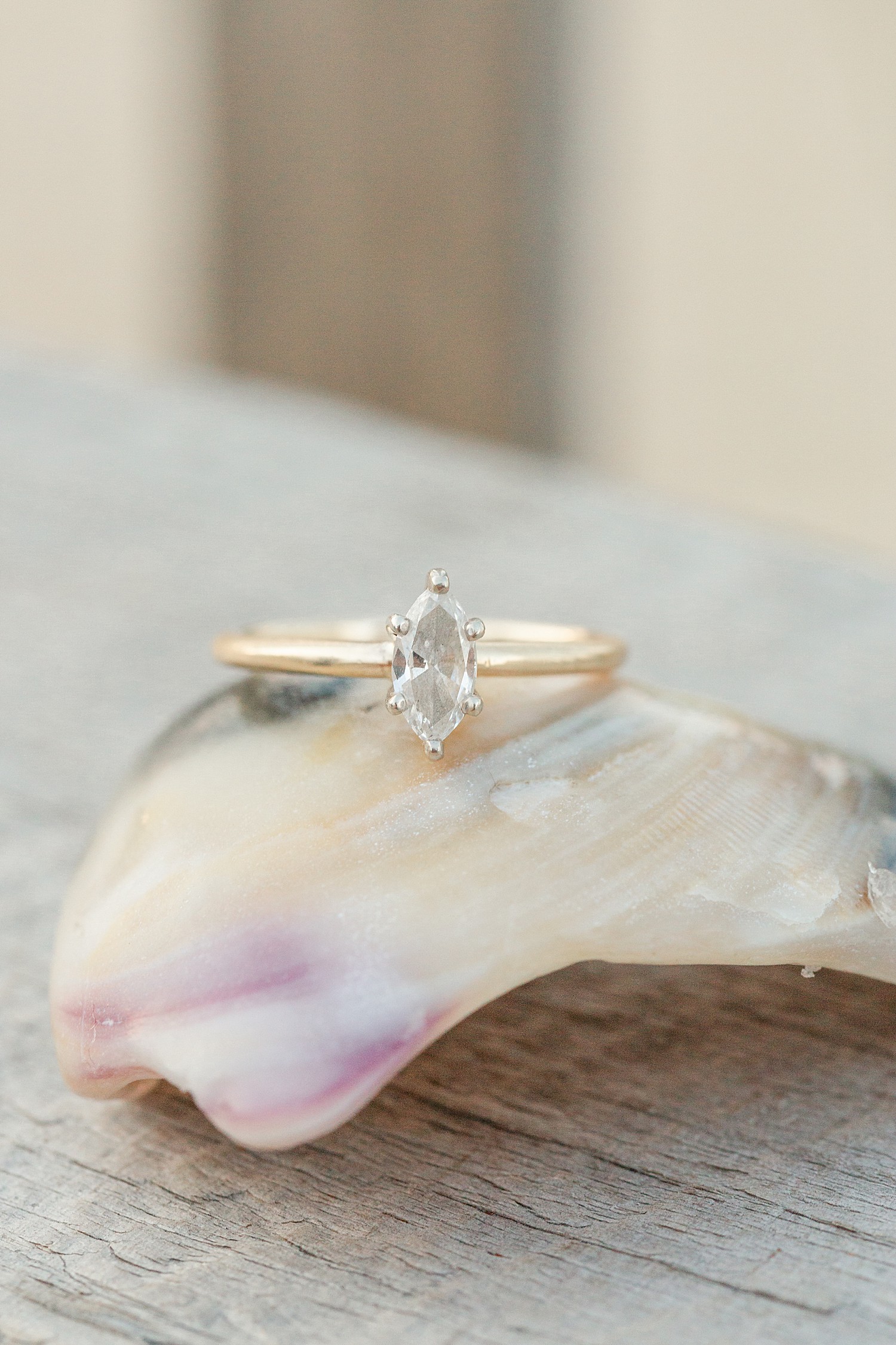 engagement ring resting on a seashell during Bayhead Yacht Club + Beach engagement session