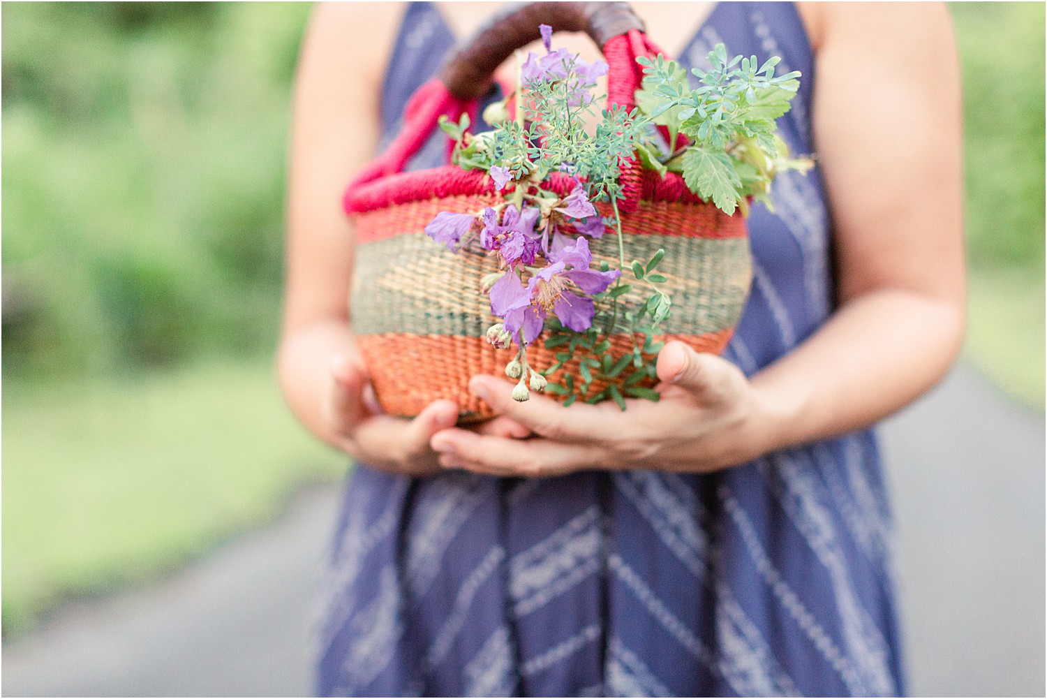 basket herbs used for wellness