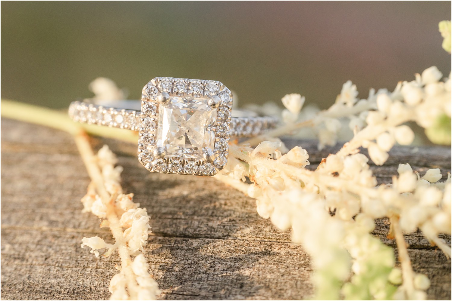 engagement ring on log surrounded by white flowers