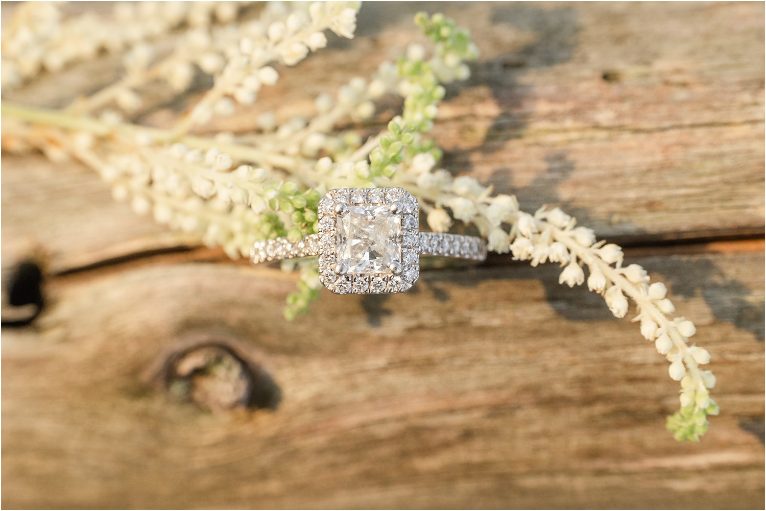 engagement ring in log surrounded by white flowers