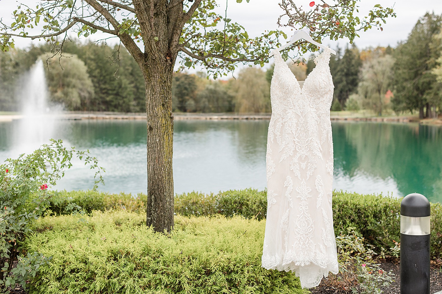 wedding dress hanging from tree at Windows on the Water at Frogbridge