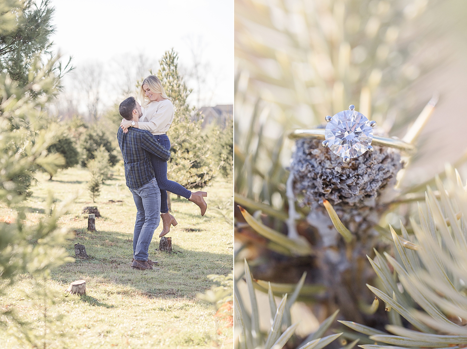 engagement ring on pinecone