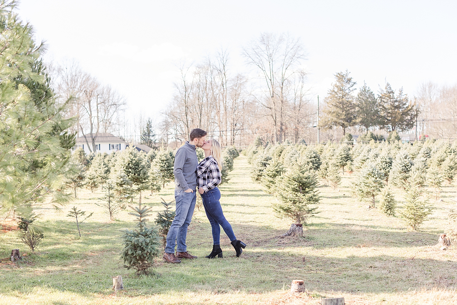 NJ engagement session at Christmas tree farm 