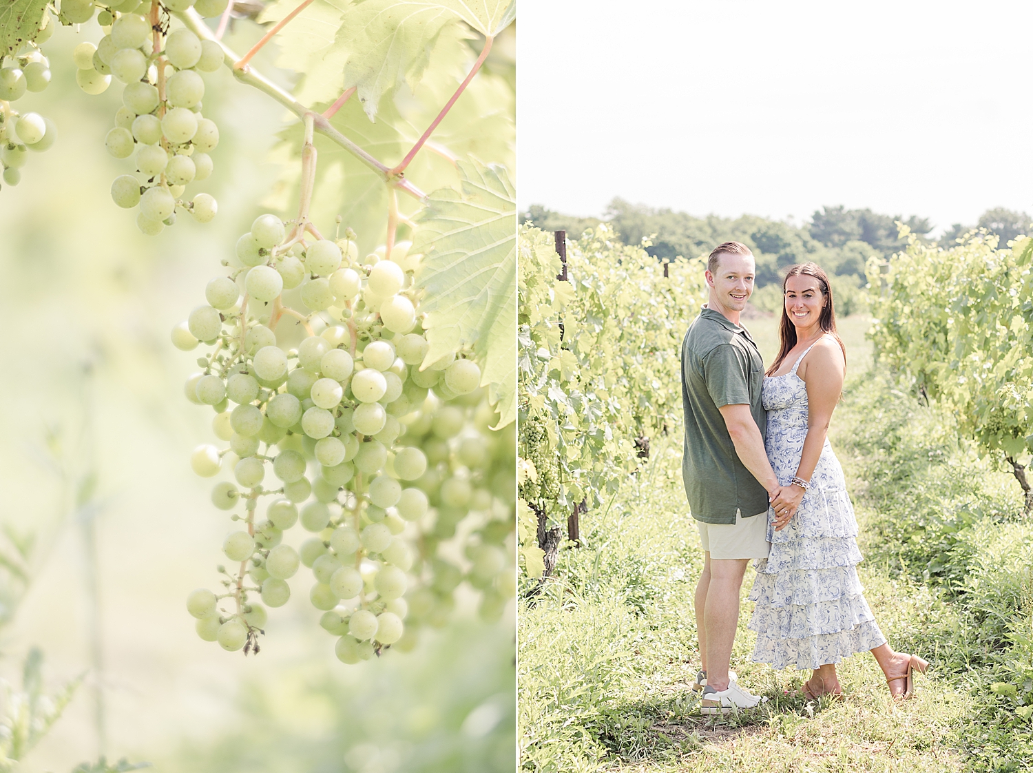 Romantic New Jersey Engagement at William Heritage Winery in Mullica Hill