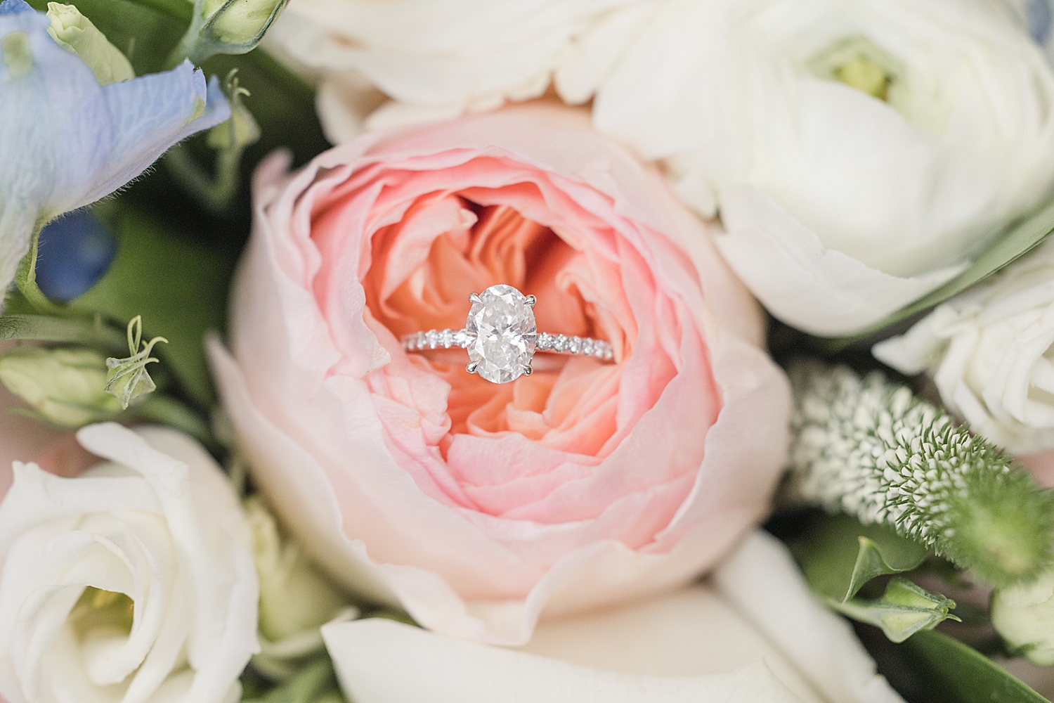 wedding ring in pink rose from Romantic Spring Wedding in New Jersey