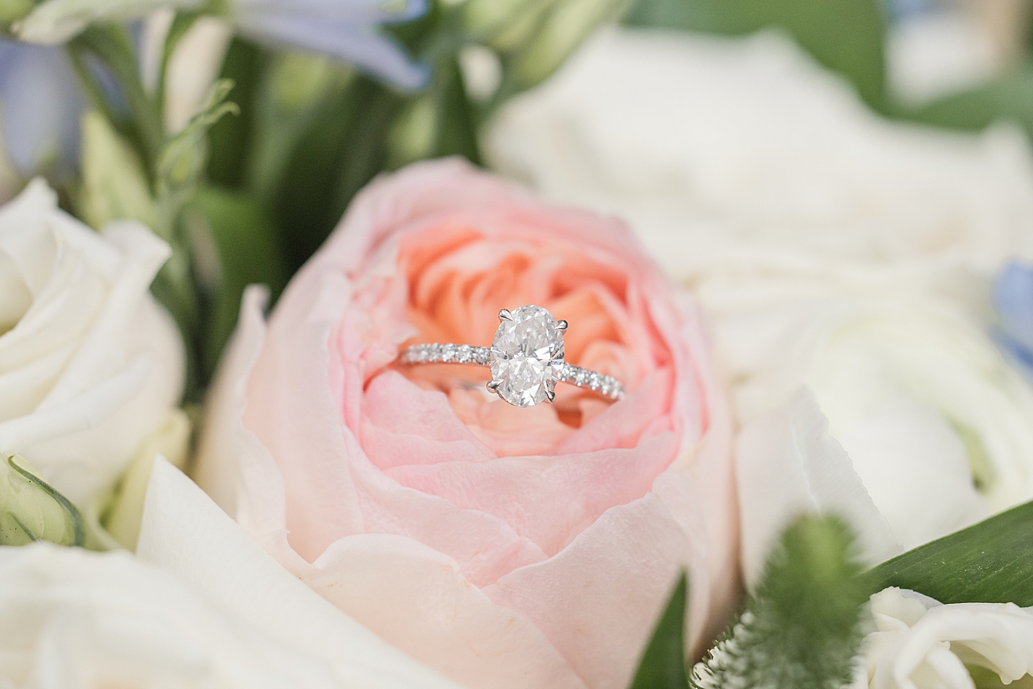 pink rose with wedding ring