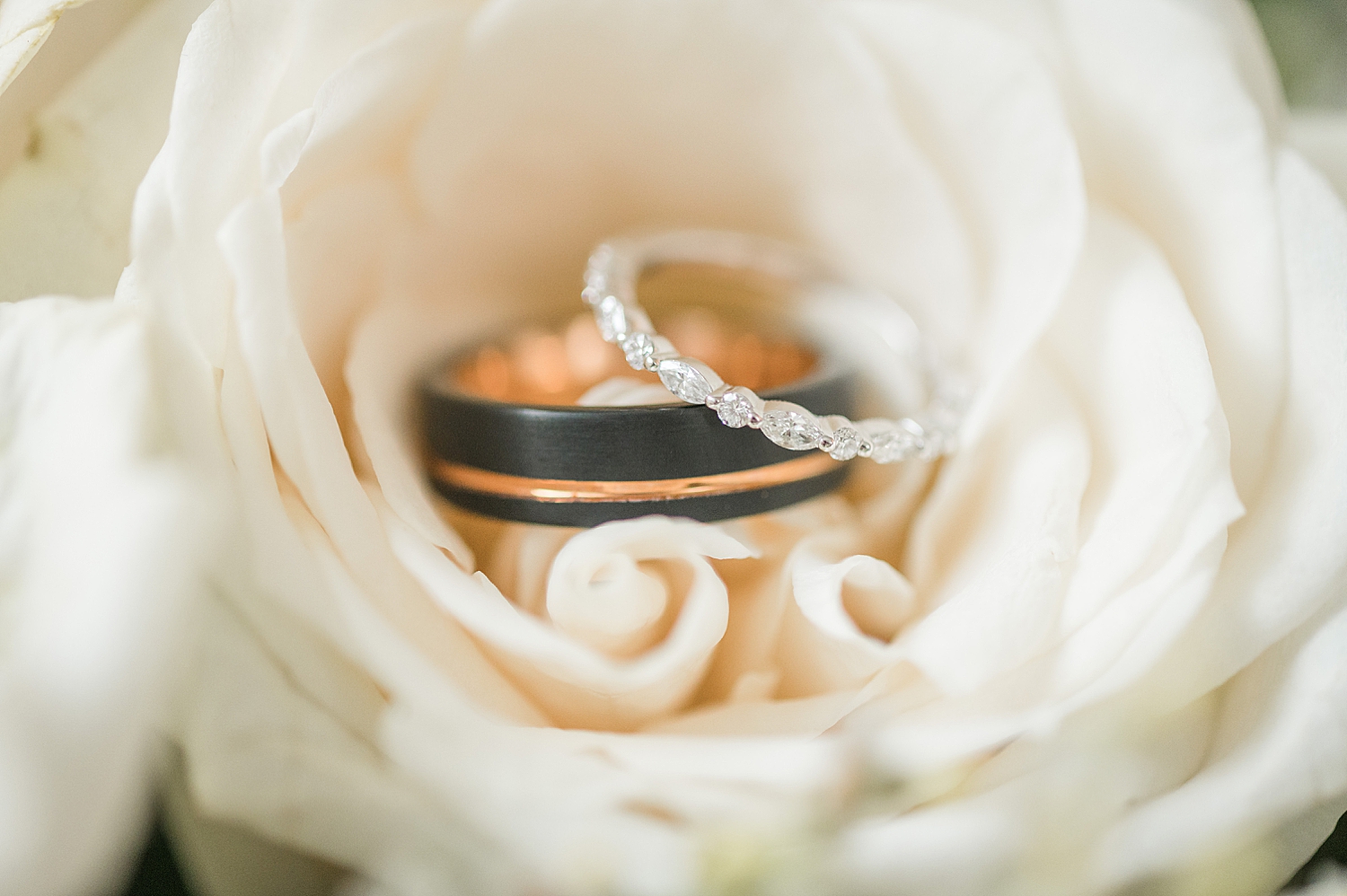 wedding bands in white rose